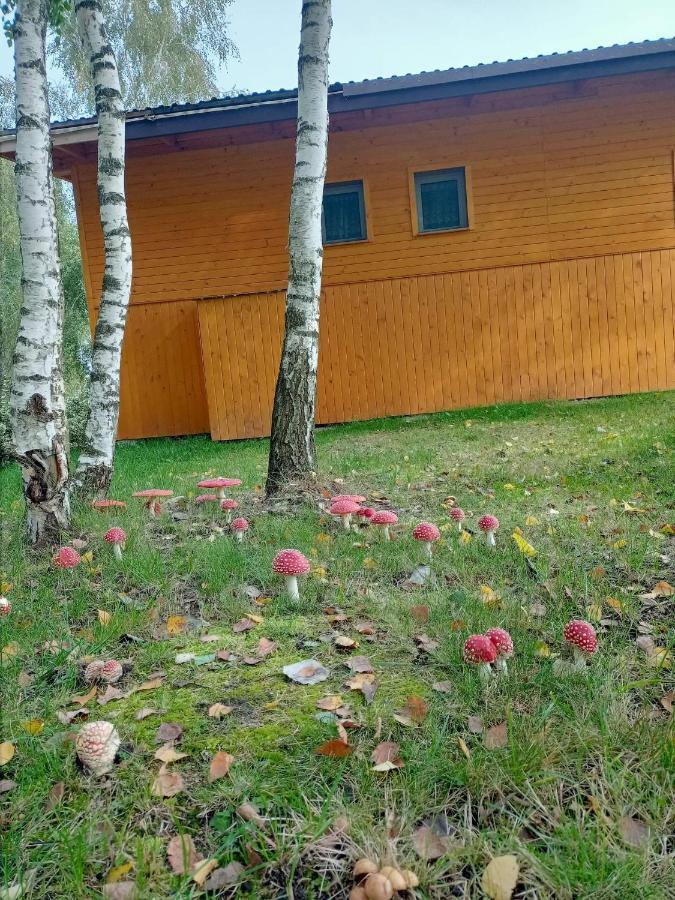 Holiday home Brzozowy Gaj *