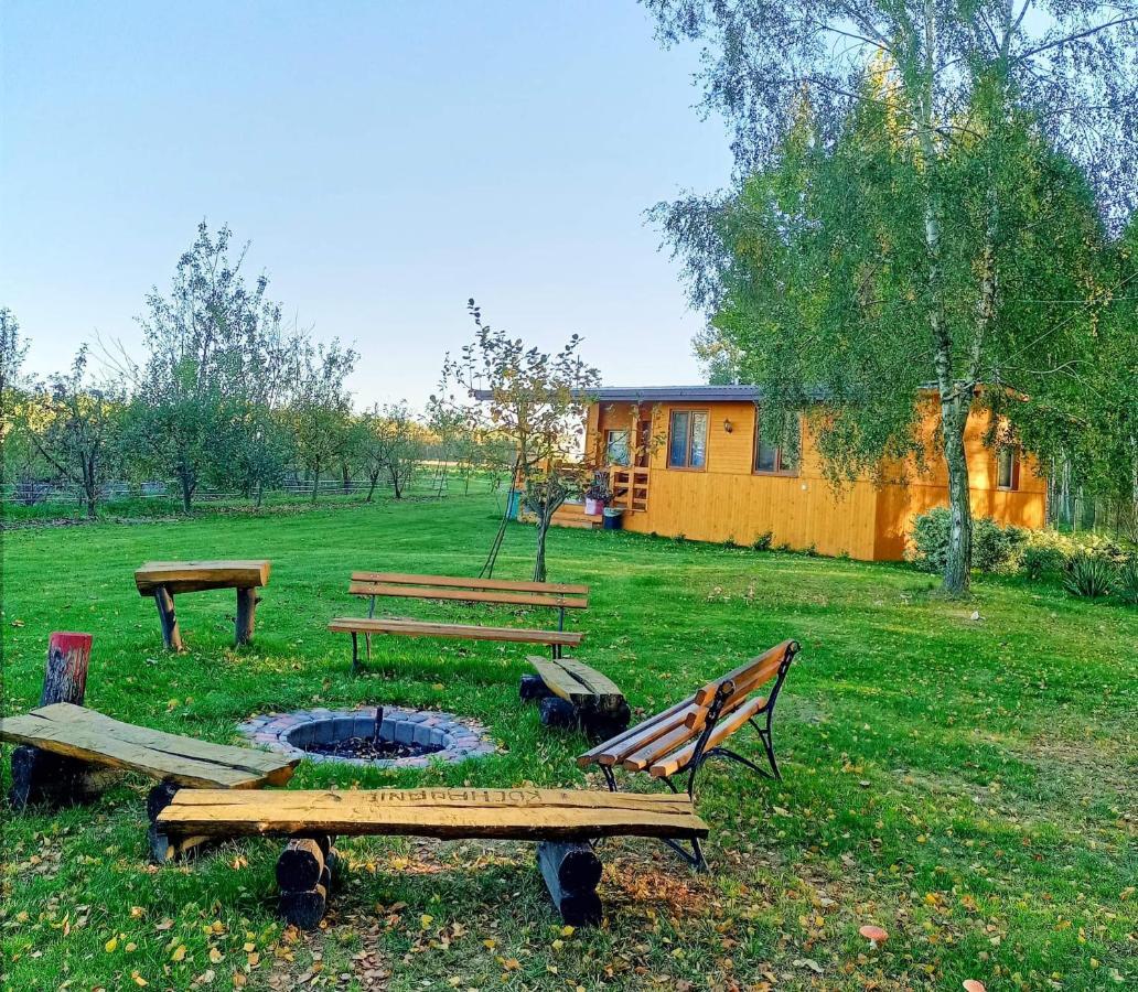 Brzozowy Gaj *