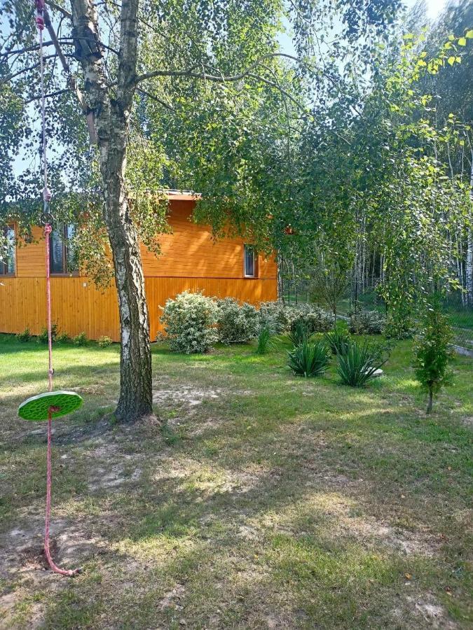 Brzozowy Gaj Holiday home Bobryk