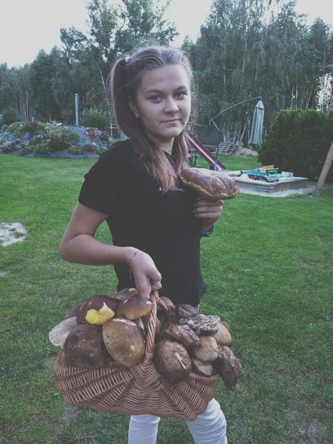 Brzozowy Gaj Holiday home *