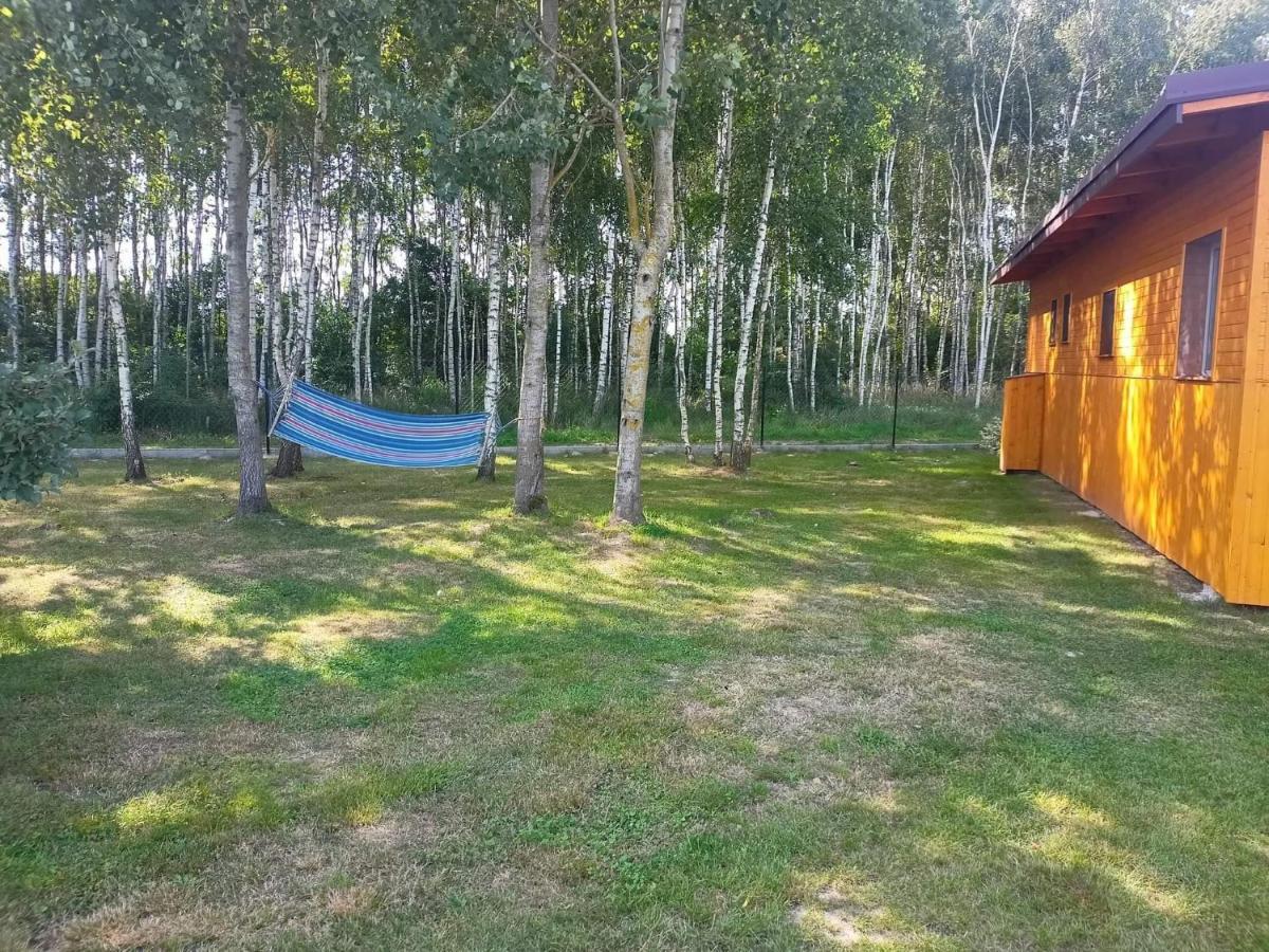 Brzozowy Gaj Holiday home