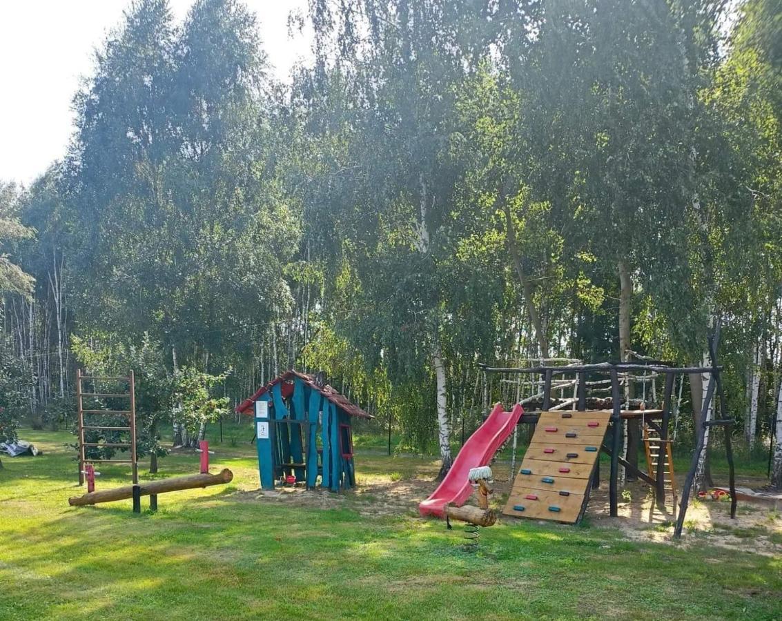 Brzozowy Gaj Holiday home *